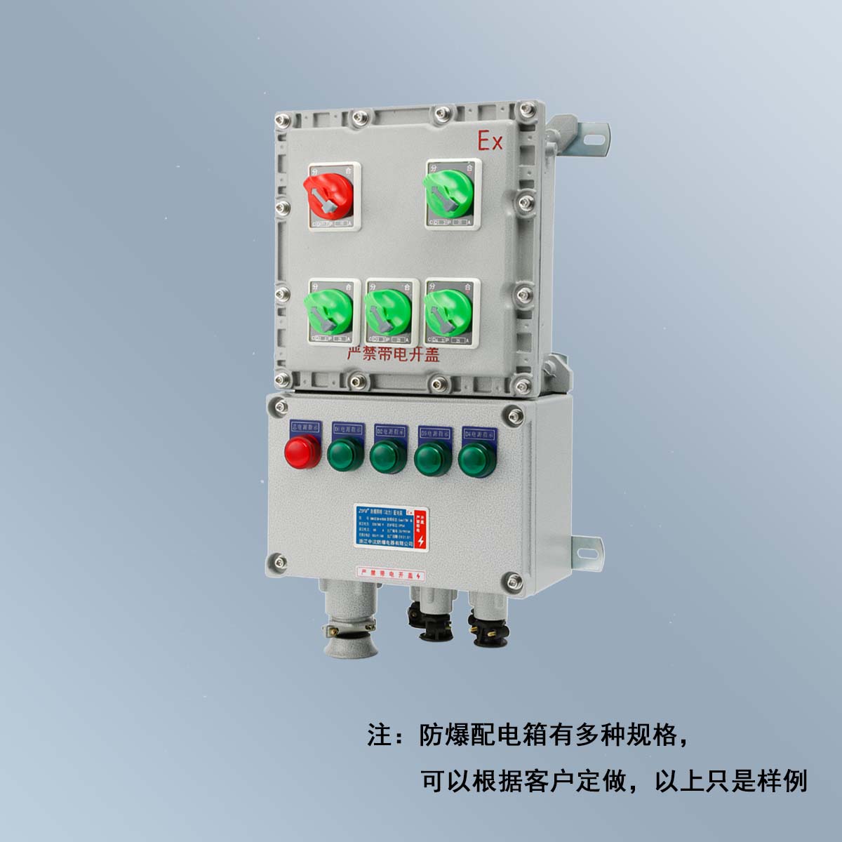 BXM(D)58 系列防爆照明(動(dòng)力)配電箱 (ⅡB、ⅡC、DIP)